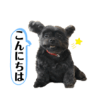 ららちゃんだけスタンプ（個別スタンプ：2）