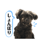 ららちゃんだけスタンプ（個別スタンプ：5）