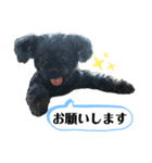 ららちゃんだけスタンプ（個別スタンプ：7）