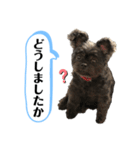 ららちゃんだけスタンプ（個別スタンプ：13）