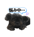 ららちゃんだけスタンプ（個別スタンプ：16）