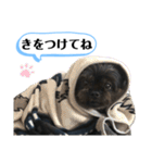 ららちゃんだけスタンプ（個別スタンプ：18）
