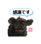 ららちゃんだけスタンプ（個別スタンプ：19）