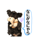 ららちゃんだけスタンプ（個別スタンプ：20）