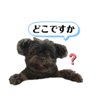 ららちゃんだけスタンプ（個別スタンプ：25）