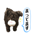 ららちゃんだけスタンプ（個別スタンプ：36）