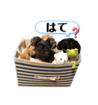 ららちゃんだけスタンプ（個別スタンプ：37）
