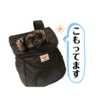 ららちゃんだけスタンプ（個別スタンプ：39）