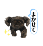 ららちゃんだけスタンプ（個別スタンプ：40）