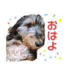 Sanmoron（個別スタンプ：3）