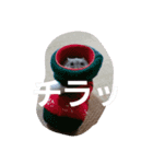 kaizyu3（個別スタンプ：3）