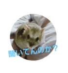 kaizyu3（個別スタンプ：5）