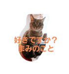 kaizyu3（個別スタンプ：8）