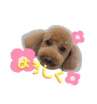 ちびちびゆずちゃん（個別スタンプ：3）