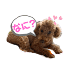 ちびちびゆずちゃん（個別スタンプ：14）