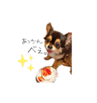 ふらちゃんスタンプ！！！！（個別スタンプ：2）