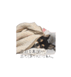 ふらちゃんスタンプ！！！！（個別スタンプ：4）