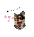 ふらちゃんスタンプ！！！！（個別スタンプ：9）