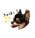 ふらちゃんスタンプ！！！！（個別スタンプ：11）