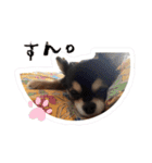 ふらちゃんスタンプ！！！！（個別スタンプ：13）