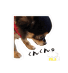 ふらちゃんスタンプ！！！！（個別スタンプ：15）