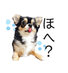 ふらちゃんスタンプ！！！！（個別スタンプ：32）