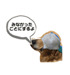 いぬの日常 ゴールデン［お得パック]（個別スタンプ：6）