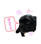 しん りん しゅう ショコ（個別スタンプ：3）