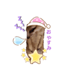 ミーヤキャット・ぷるぷるさん日常用語（個別スタンプ：8）
