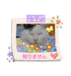 武居familiar5（個別スタンプ：1）