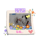 武居familiar5（個別スタンプ：2）