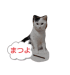 武居familiar5（個別スタンプ：4）