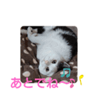 武居familiar5（個別スタンプ：10）
