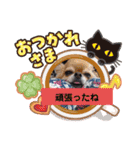武居familiar5（個別スタンプ：21）