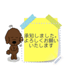 メッセージスタンプ(トイプードル)（個別スタンプ：21）