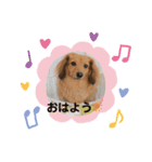 シオンとアフロスタンプ（個別スタンプ：1）