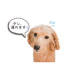 シオンとアフロスタンプ（個別スタンプ：8）