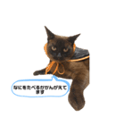 空ちゃん海ちゃん2（個別スタンプ：6）