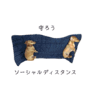 ダックスダックス dachsdachs（個別スタンプ：2）