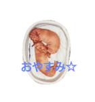 ダックスダックス dachsdachs（個別スタンプ：12）