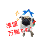 吉田さんちのあんずちゃん（個別スタンプ：1）