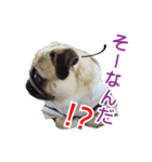 吉田さんちのあんずちゃん（個別スタンプ：5）