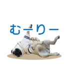 吉田さんちのあんずちゃん（個別スタンプ：6）
