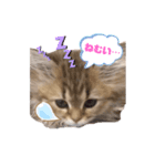 あやかたんのからあげ（個別スタンプ：2）