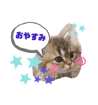 あやかたんのからあげ（個別スタンプ：3）