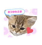 あやかたんのからあげ（個別スタンプ：6）