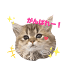 あやかたんのからあげ（個別スタンプ：7）