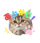 あやかたんのからあげ（個別スタンプ：8）