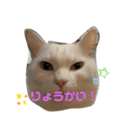 こふにゃん（個別スタンプ：3）