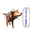 ビビり犬ミミちゃんのスタンプ【敬語多め】（個別スタンプ：30）